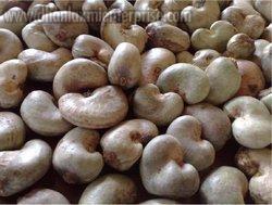 Raw Cashew Nut 04