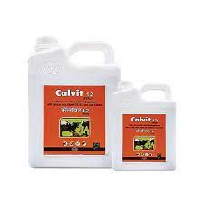 Calvit Veterinary Syrup