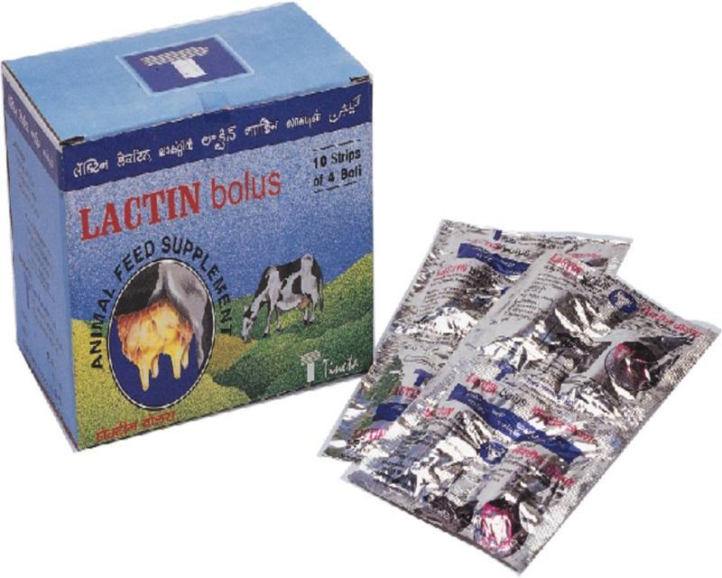 Lactin Bolus