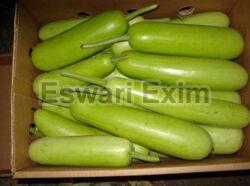 Bottle Gourd (C-Box)