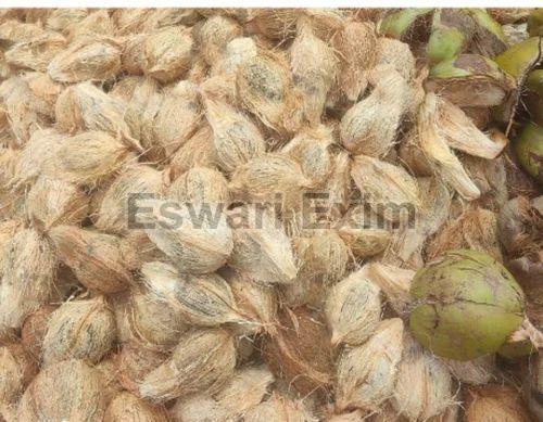 Fresh Export Coconut Supplier