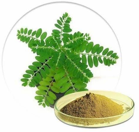 Bhumi Amla Powder