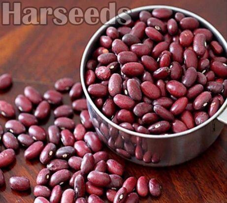 Kashmiri Red Kidney Beans
