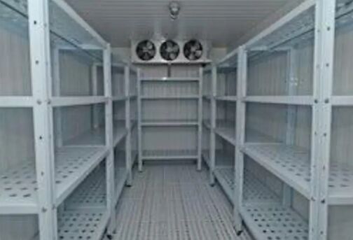 Frozen Cold Storage Services
