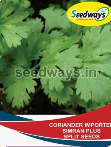 Imported Simran Plus Split Coriander Seeds