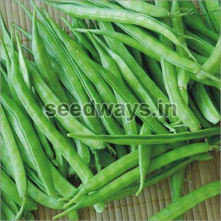Research Rozy Cluster Beans Seeds