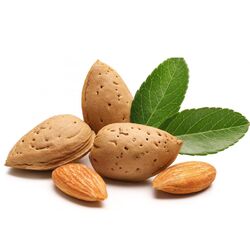 Organic Almond Nuts