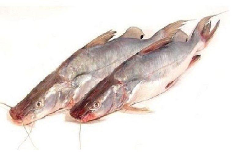 Singhara Fish