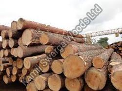 Pine Spruce Birch Oak Ash Timber