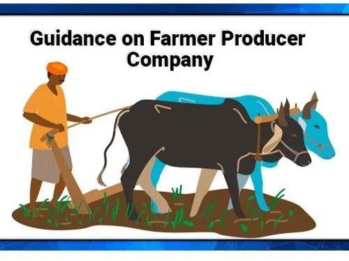 Farmer Producer Company Registration Services