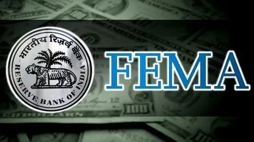 FEMA Matters Services