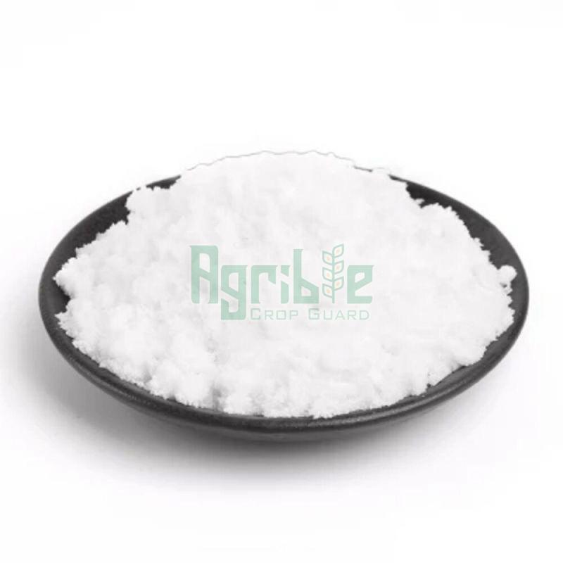 Boric Acid Manufacturer Boric Acid Exporter Supplier From Vapi India   Boric Acid Powder 1689665714 6987528 