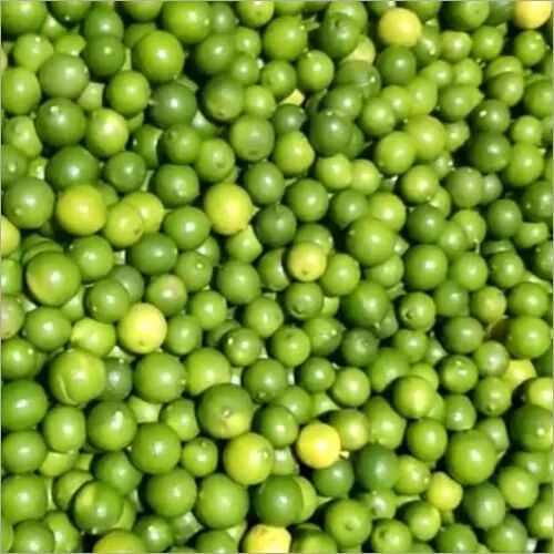 Fresh Lemon