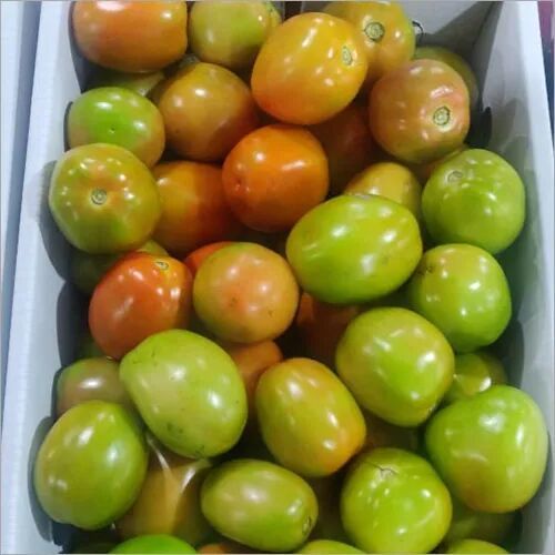 Fresh Tomato