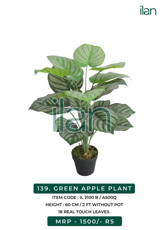 green apple decorative plant 2100 b