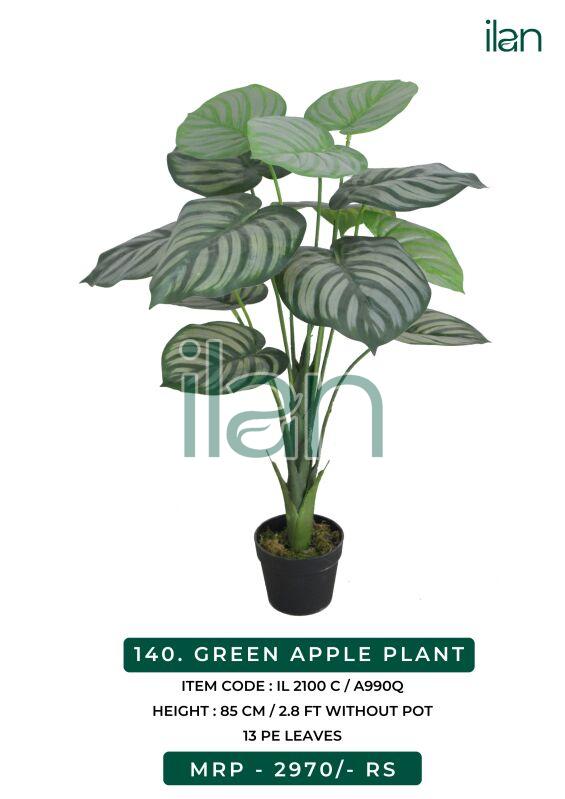 green apple decorative plant 2100 c