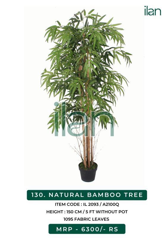 NATURAL BAMBOO TREE
