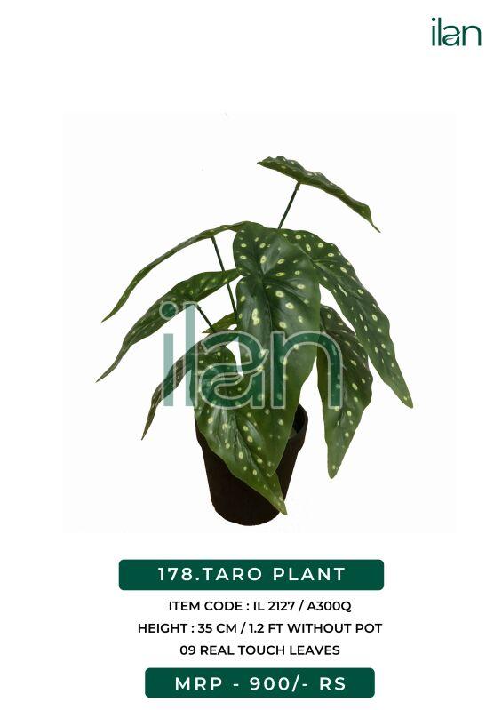 TARO PLANT 2127