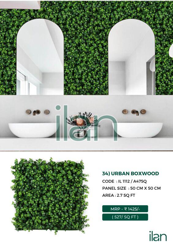 urban boxwood green wall