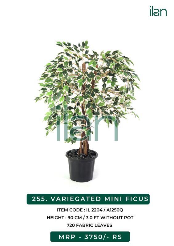 artificial variegated mini ficus plant
