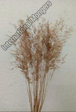 Dried Munni Grass