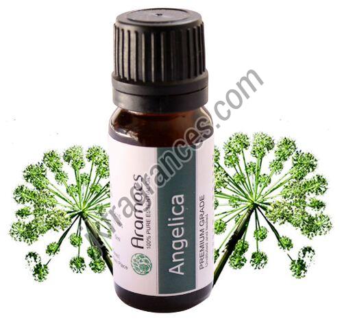 Natural Angelica Seed Oil
