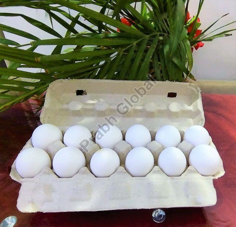 12 Eggs Paper Pulp Tray with Lock