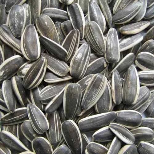 Sunflower Seeds