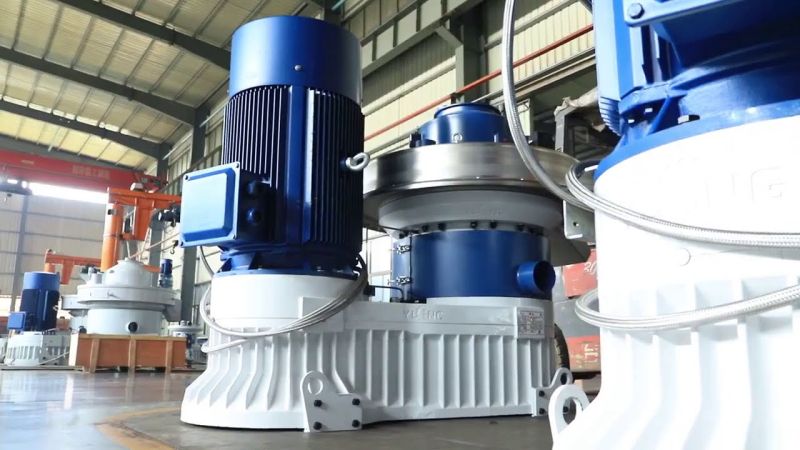 Biomass Pellet Mill For Paddy Straw Pelletizing Manufacturer