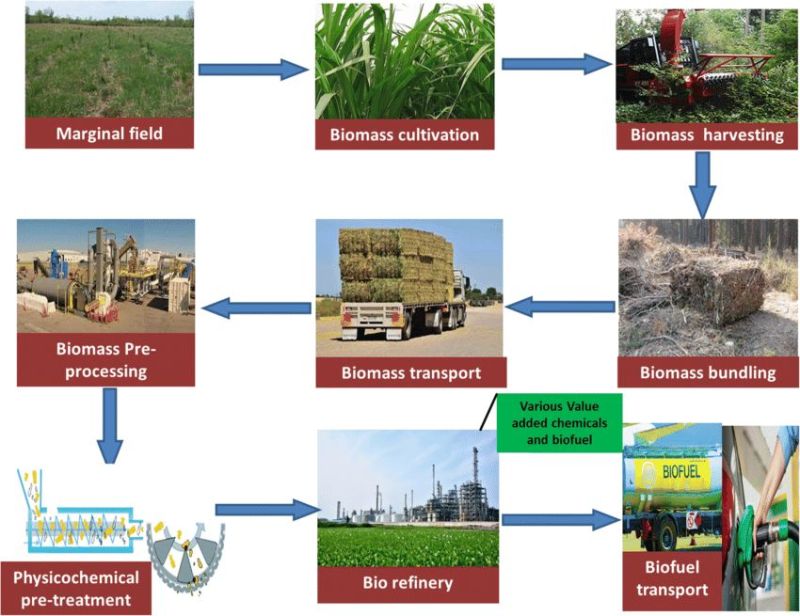 Biomass Supply Chain Management