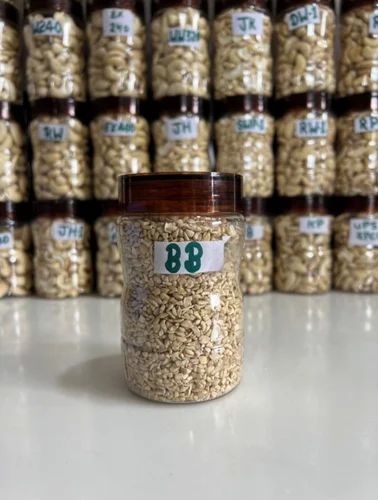 BB Organic Split Cashew Nut