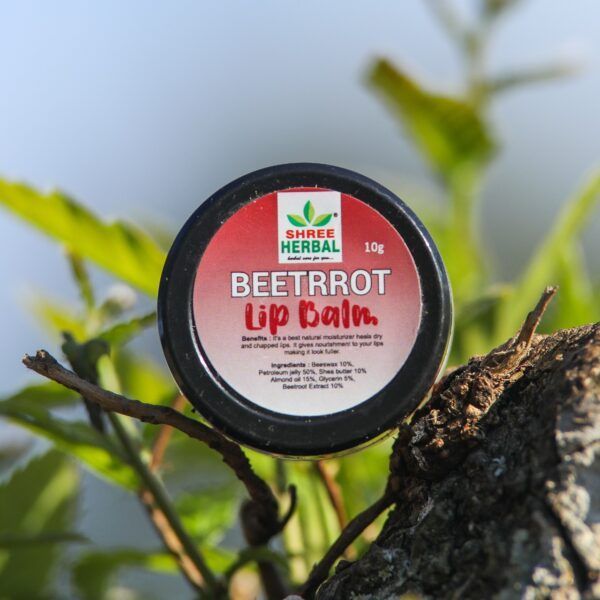 10g SHREE Beetroot Lip Balm