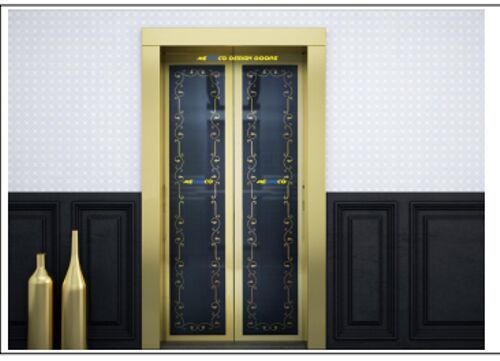 Bigvision Elevator Door