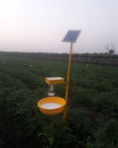 Solar Light Trap