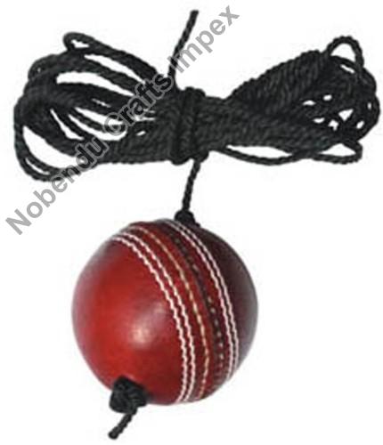 Cricket Hanging Ball