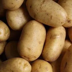 Fresh Kufri Ganga Potato