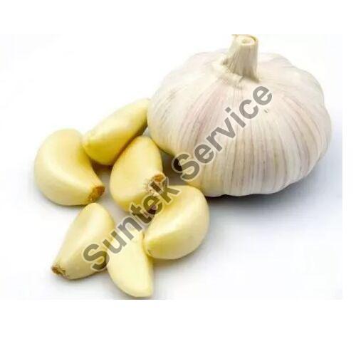 Fresh Garlic