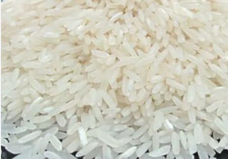 IR 64 Raw Basmati Rice