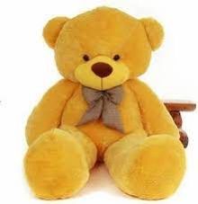 Teddy Bear 5 Feet