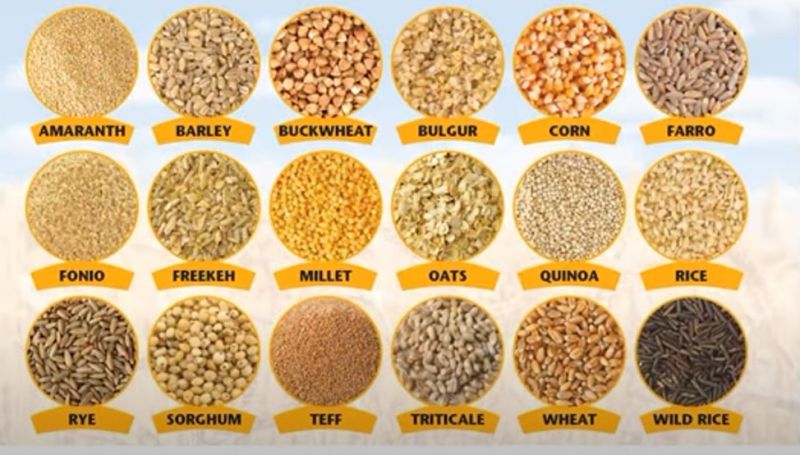 agriculture seeds