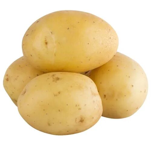 Fresh Potato