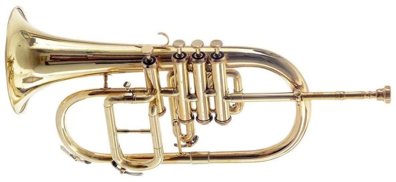 Four Valve Musical Flugelhorn