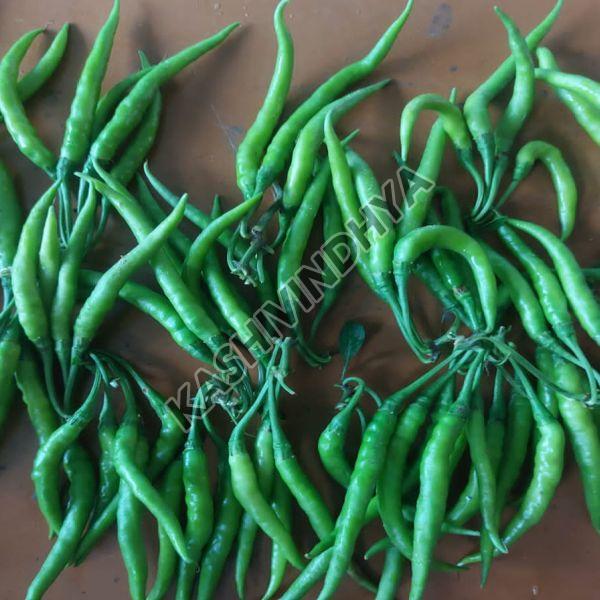 Fresh Long Green Chilli