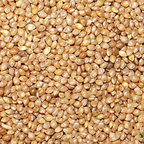 Barnyard Millet Seeds