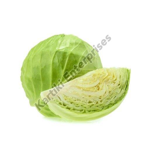 A Grade Fresh Green Cabbage