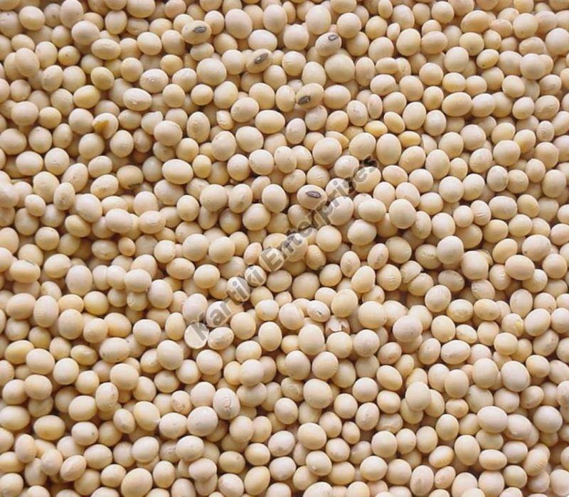 Soybean Seeds