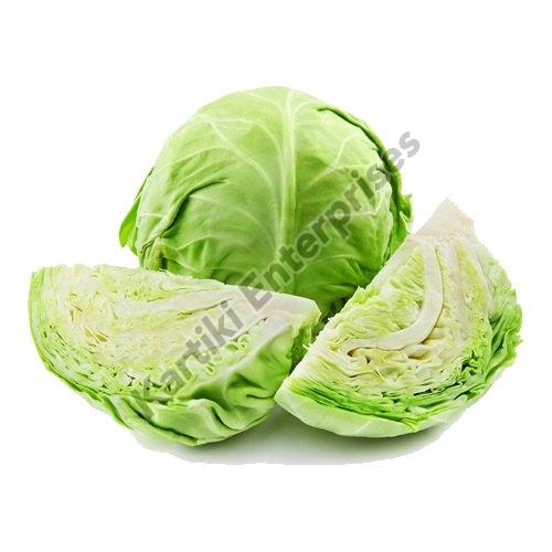 Fresh Green Cabbage