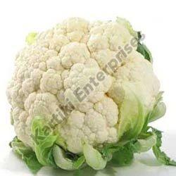Hybrid Fresh Cauliflower