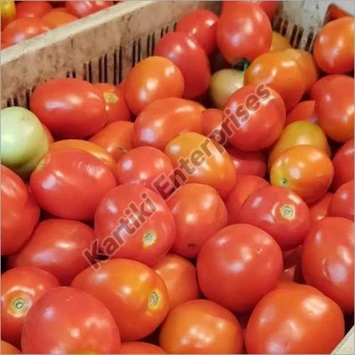 Hybrid Fresh Tomato