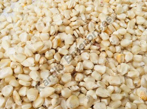 Hybrid White Corn Seeds